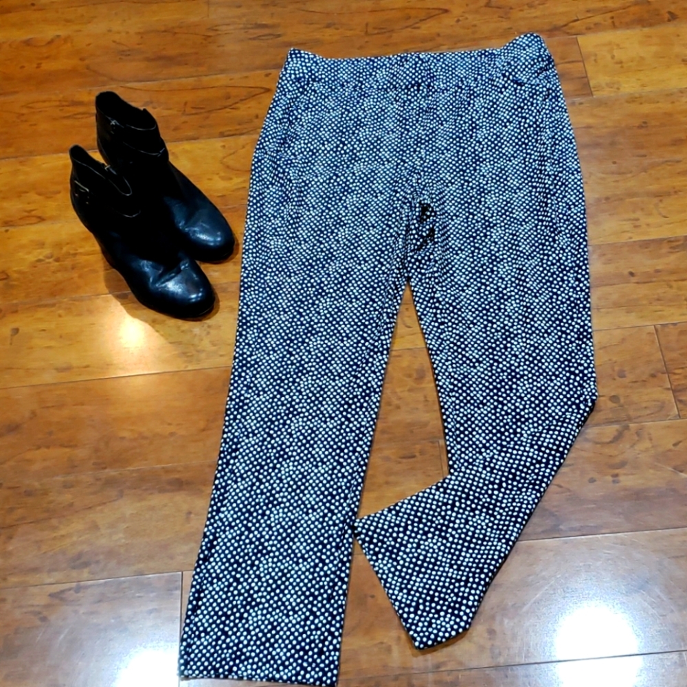 Polka dotted Chicos pants.